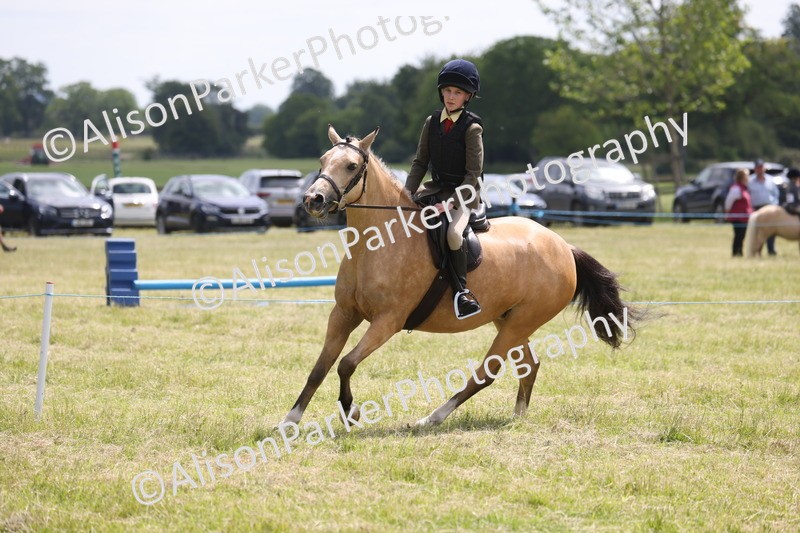 20260614-1802 - Class 21 - Novice Working Hunter Pony