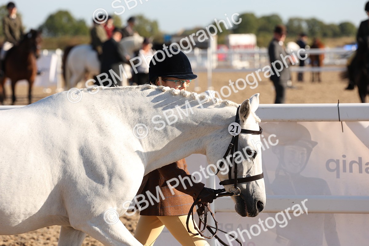 SBM_11613_Class 203 - Young Handler 10 Years and Under - Vicky Gutteridge