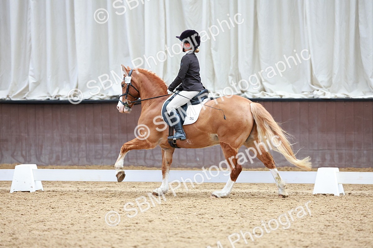 SBM_002182