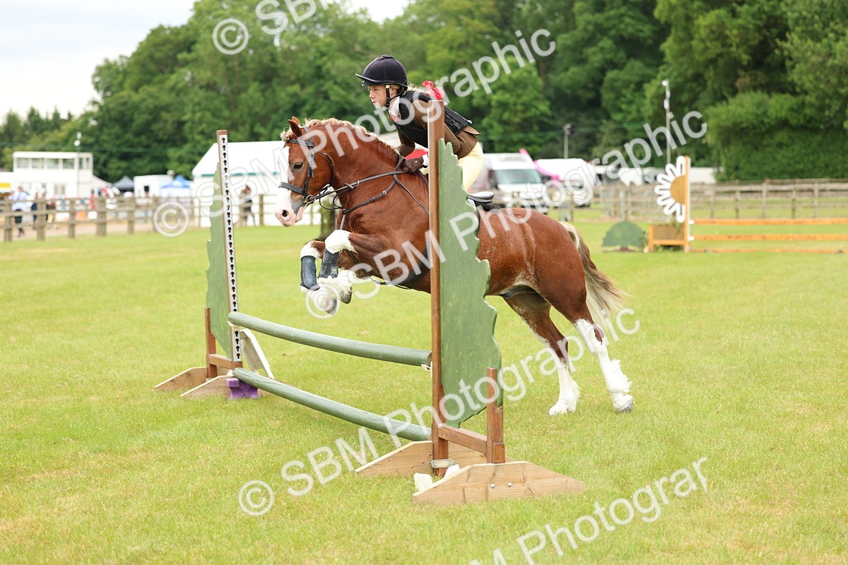 SBM_10356 - Class 44-45 - LIHS BSPS Open Nursery and Cradle Stakes