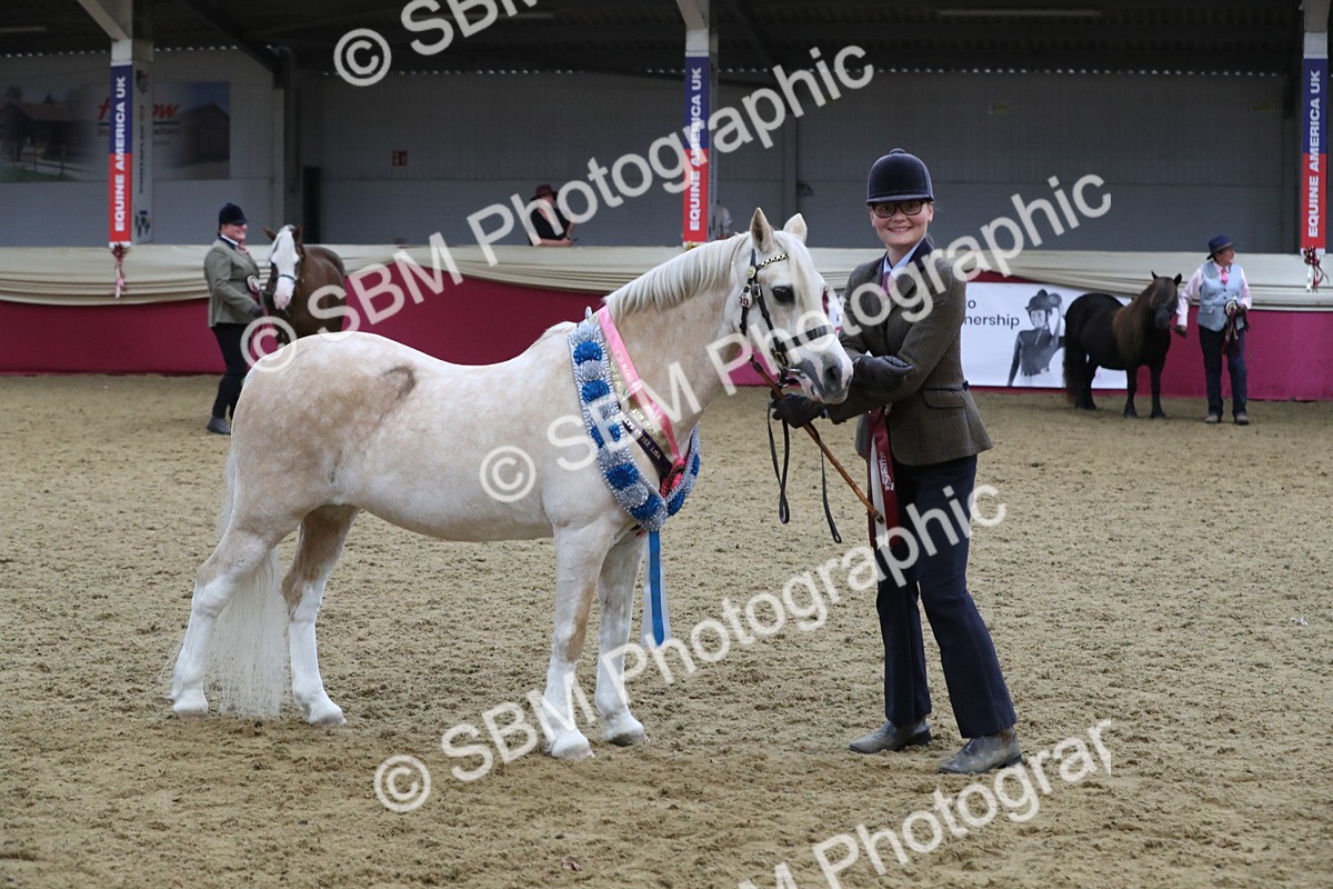 SBM_15423 - Class 501 M&M IH Supreme Final
