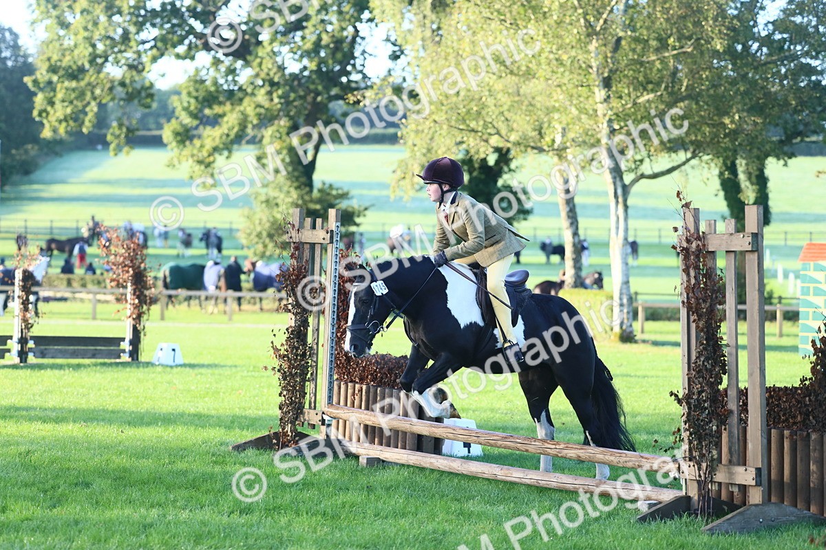 SBM_37186 - S29 - Novice & Newcomers Working Hunter Pony