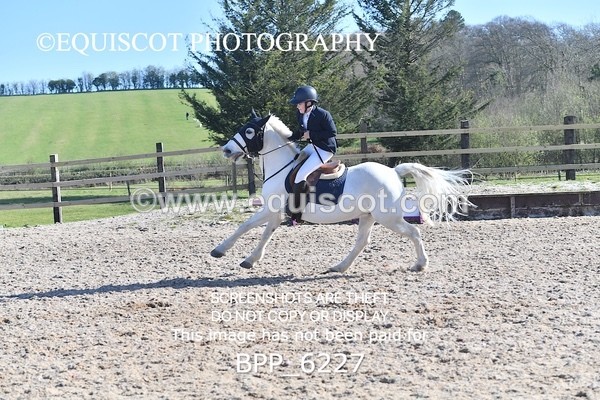 BPP_6227 - CLASS 8 SAT Pony BritiNovice / 0.80m Open