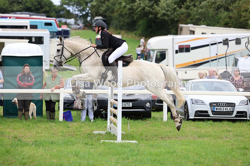 3E7A7077 - Class 5: Senior British Novice/90cm open