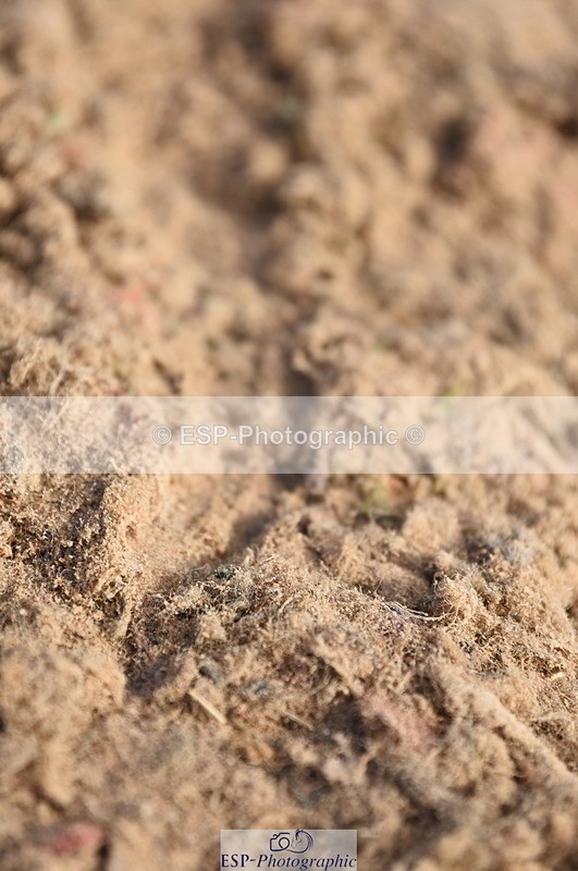 230915A-103346-00178 - Cls 9 British Novice & 90cm Open