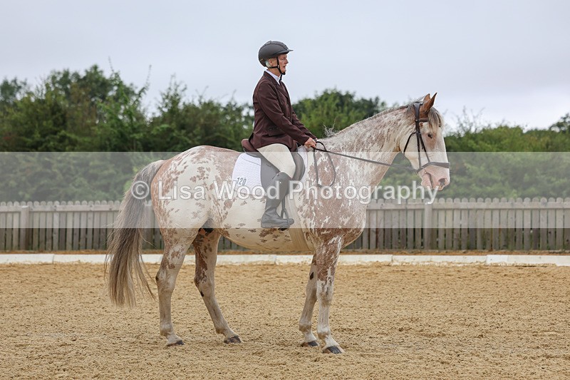 3E7A5031 - Class 2: Intro 4 2024 section B