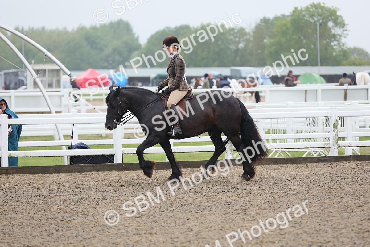 SBM_20306 - Class 803 - Ridden Combination 65+