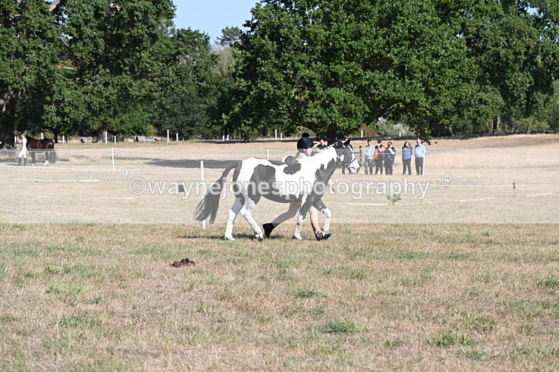 WJ6_7234 - Class 33 Rescue Pony