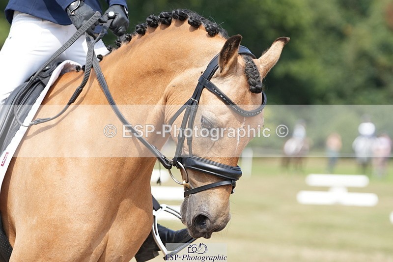 250823A-145701-32189 - PC70 Ride Off