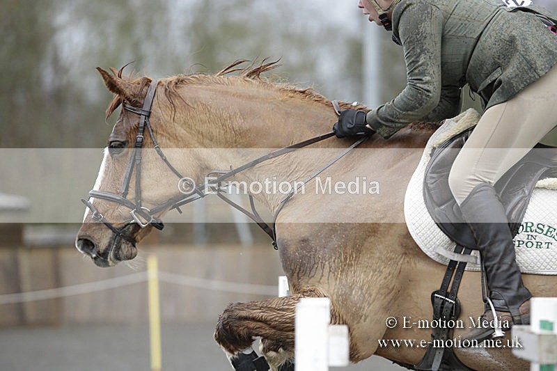 BVRC 050320 0249 - Bourne Valley riding Club Show Jumping Tidworth 08/03/20