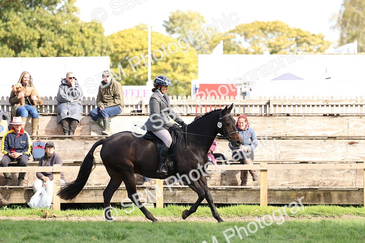 SBM_47822 - S28 - Veteran Ridden