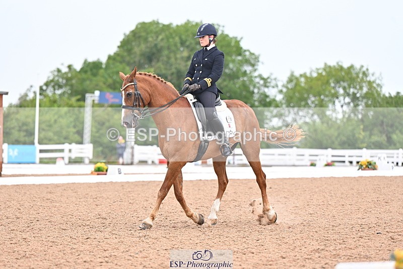 240815A-140037-01732 - 170-India.John-Grayswood.Orlando