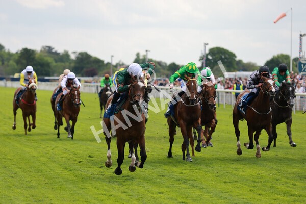 yr21052022r2-34 - Race 2: 2:20pm William Hill Bet Boost Stakes