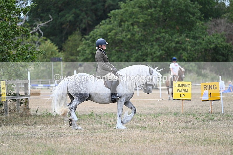 WJ7_4722 - Class 12 Ridden Cob
