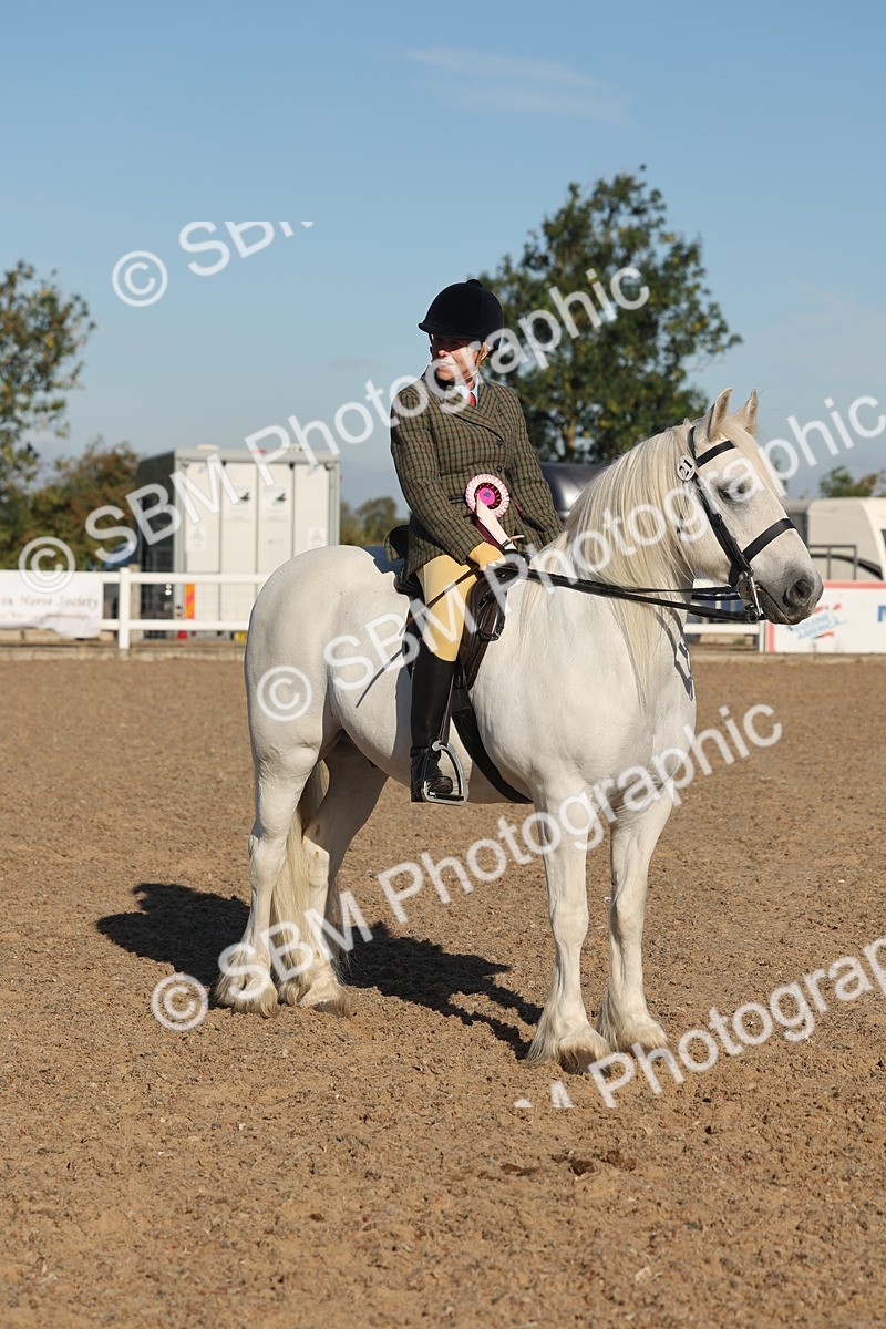 SBM_11135 - Class 302 - Ridden M&M Large Breeds