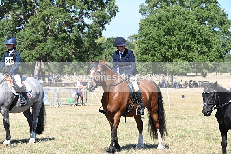 WJ6_8479 - Class 37a Best Loan Pony Ridden