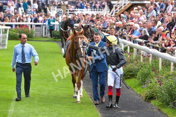 yr20082021r2-16 - Race 2 2.25pm Weatherbys Hamilton Lonsdale Cup (British Champion Series race)