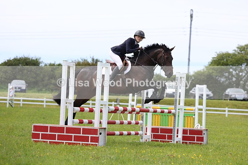 3E7A1565 - Class 13: Senior British Novice/90cm open