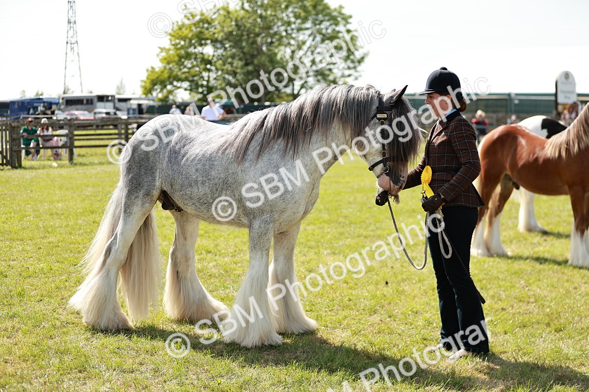 SBM_08709