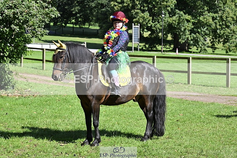 240728B-095101-00208 - Sunday Stable Shots and Fancy Dress