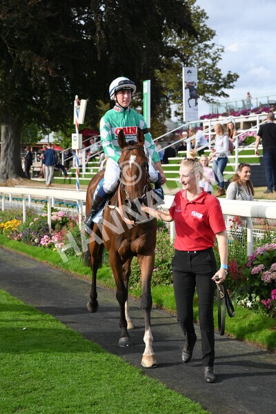 yr04092022r6-51 - Race 6 4.40pm Hanson Springs Stakes