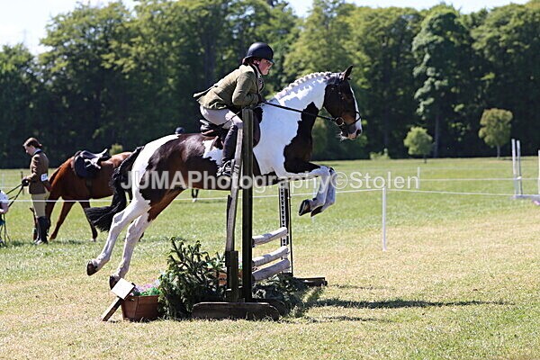 IMG_4087 - Working Hunter