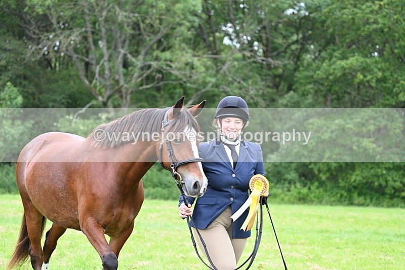 WJ7_4593 - Class 14B Prettiest Mare
