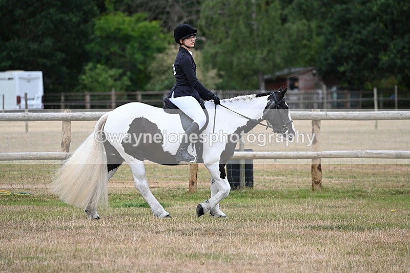 WJ6_3734 - Class 9 Tack & Turnout