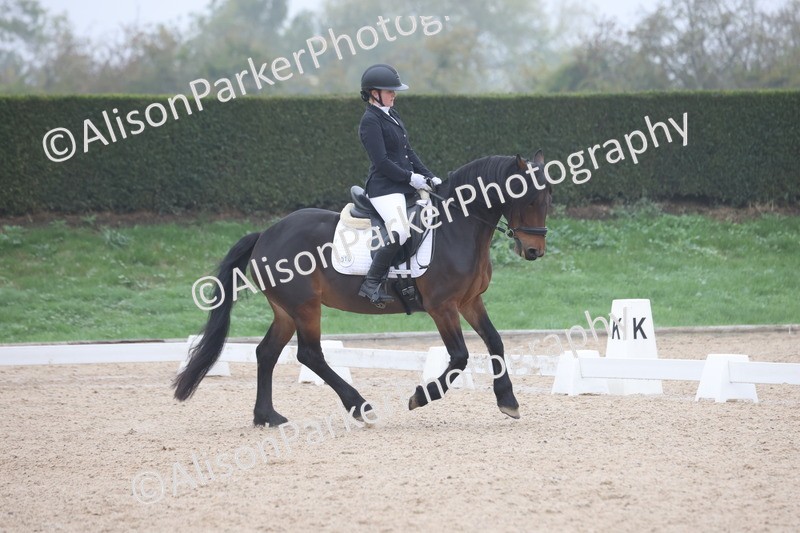 20251012-0431 - Class 3 - Novice 5