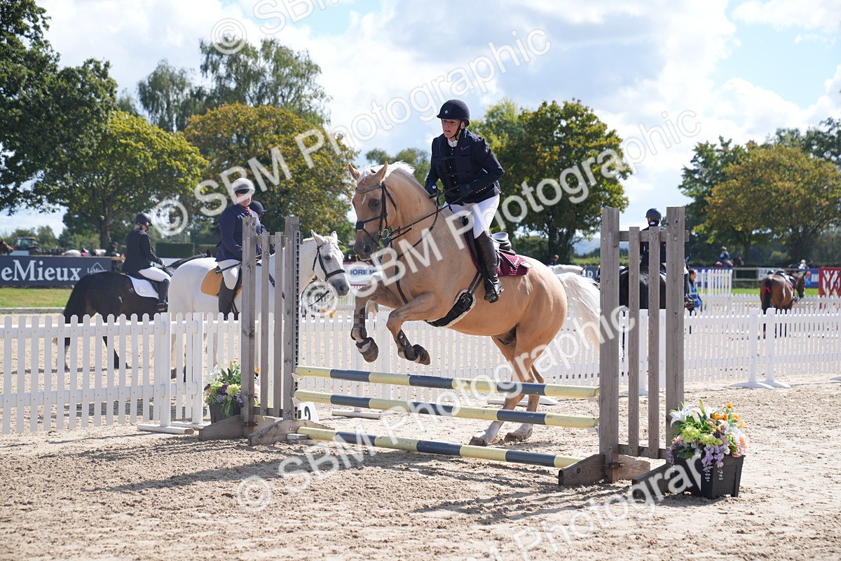 SBM_05082 - J35 Veteran 60cm Championship