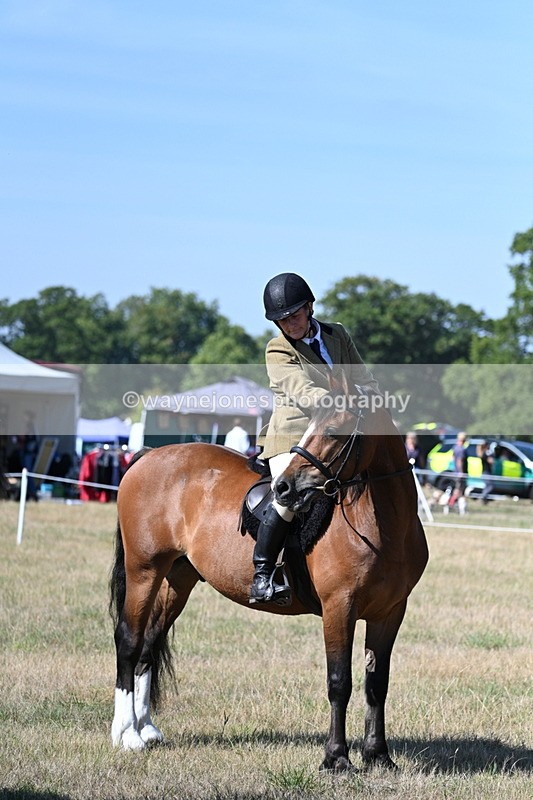 WJ7_3701 - Class 9 Mountain & Moorland Ridden
