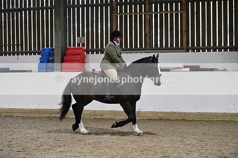 WJ7_3928 - Class 17 Ridden Cob