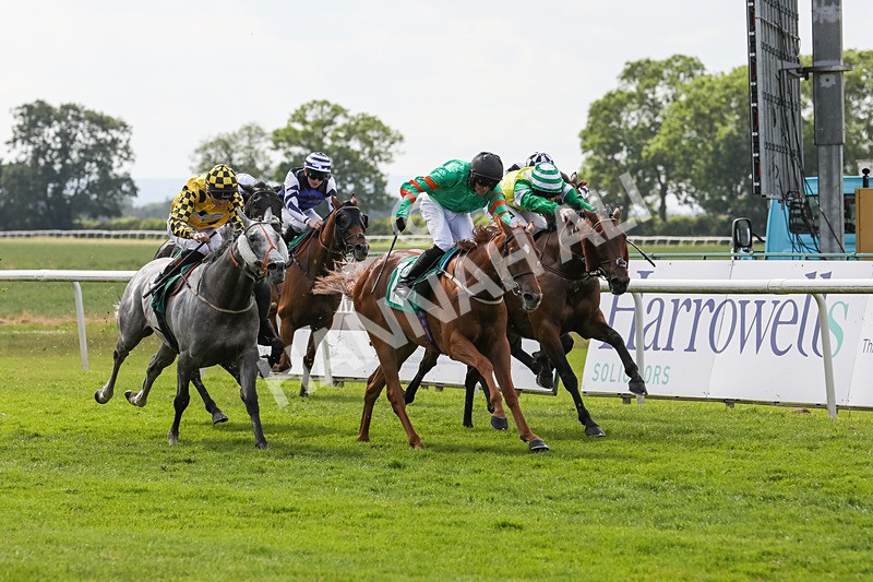 240624-Race 6-Profiteer-0424 - Race 6