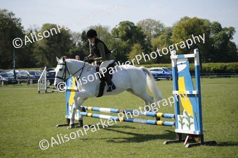 20250427-2109 - Class 13 - Novice Jumping 60cm