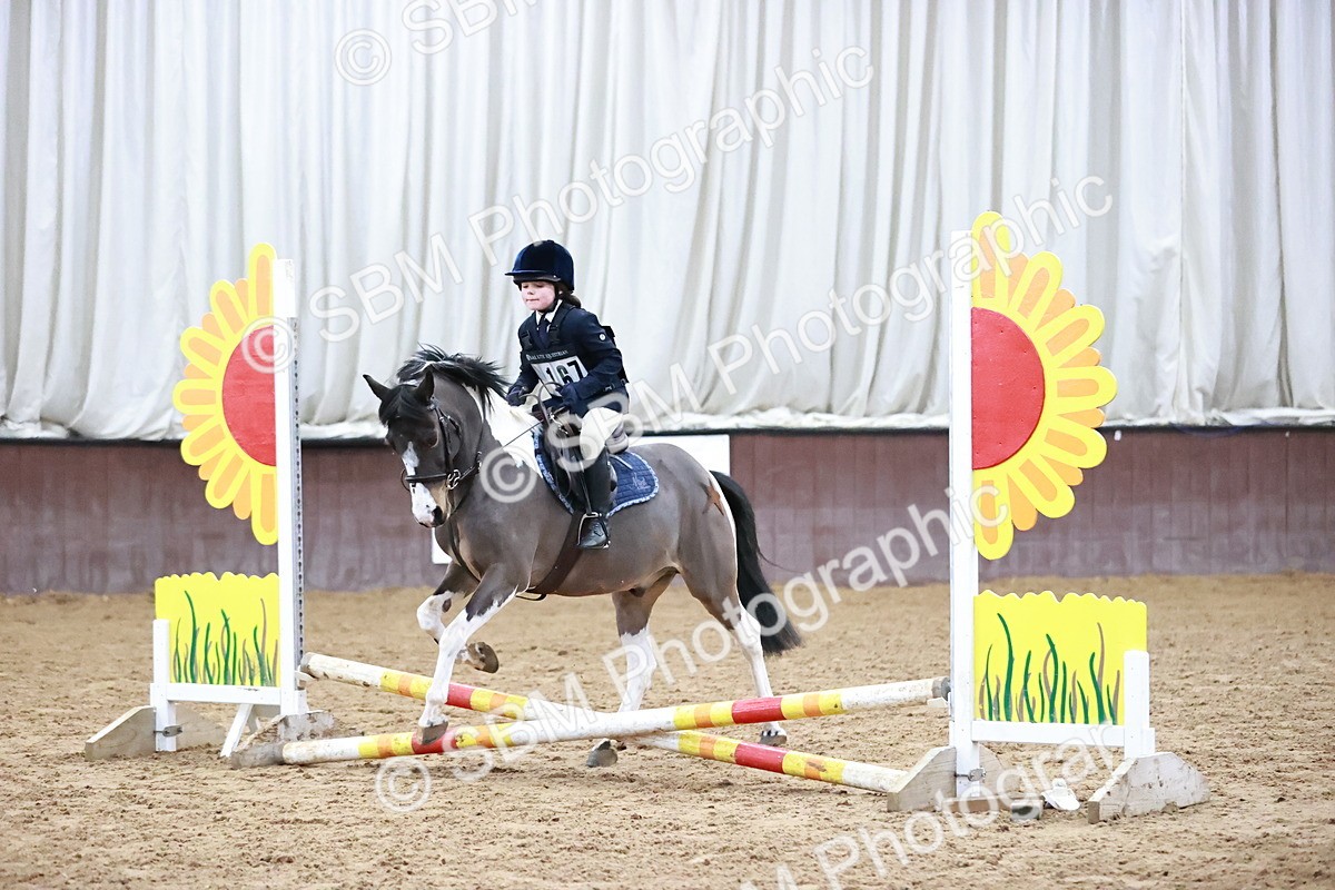 SBM_000079 - Class 1 - 40cm