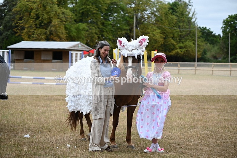 WJ6_9011 - Class 11 Fancy Dress