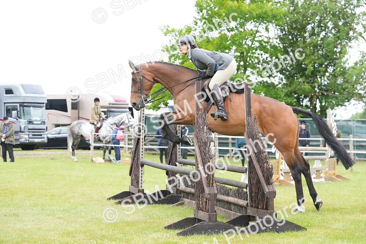 SBM_12622 - Class 97-98 - LIHS BSHA Rising Star Working Show Horse Hunter