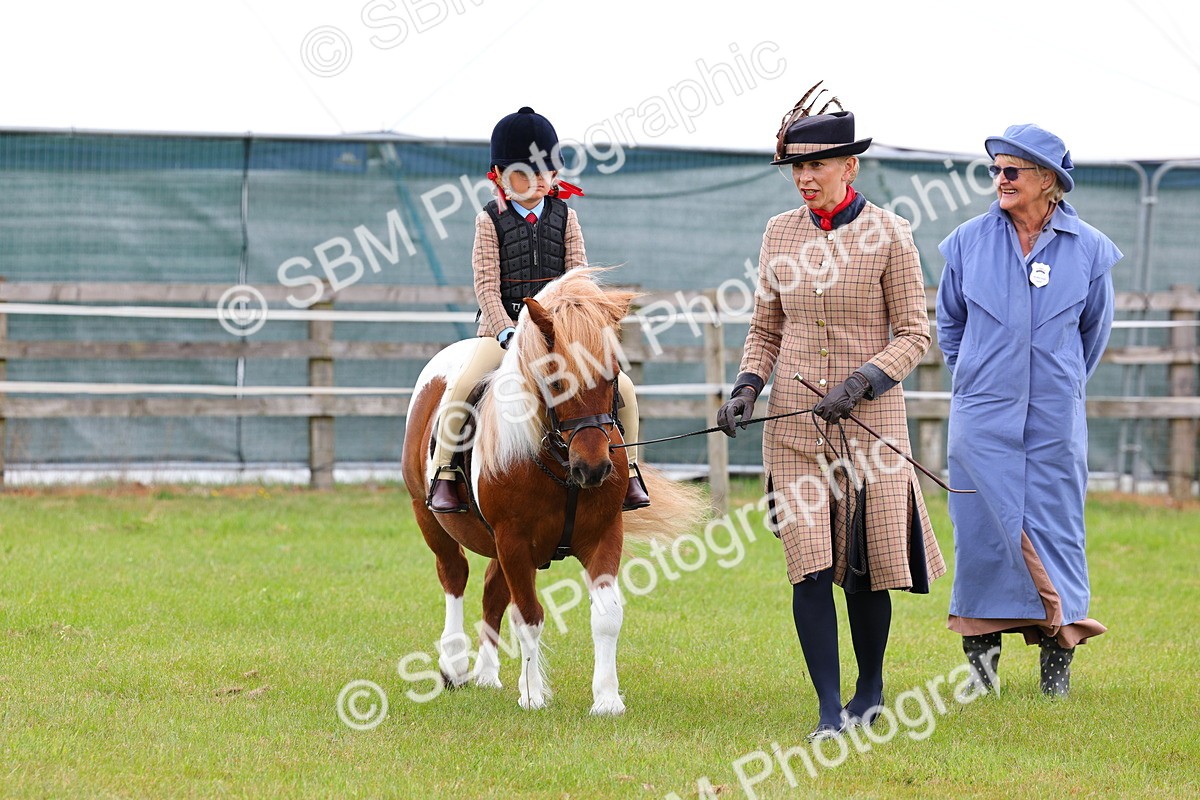 SBM_08223 - Class 42-43 - LIHS BSPS Heritage Working Sports Pony