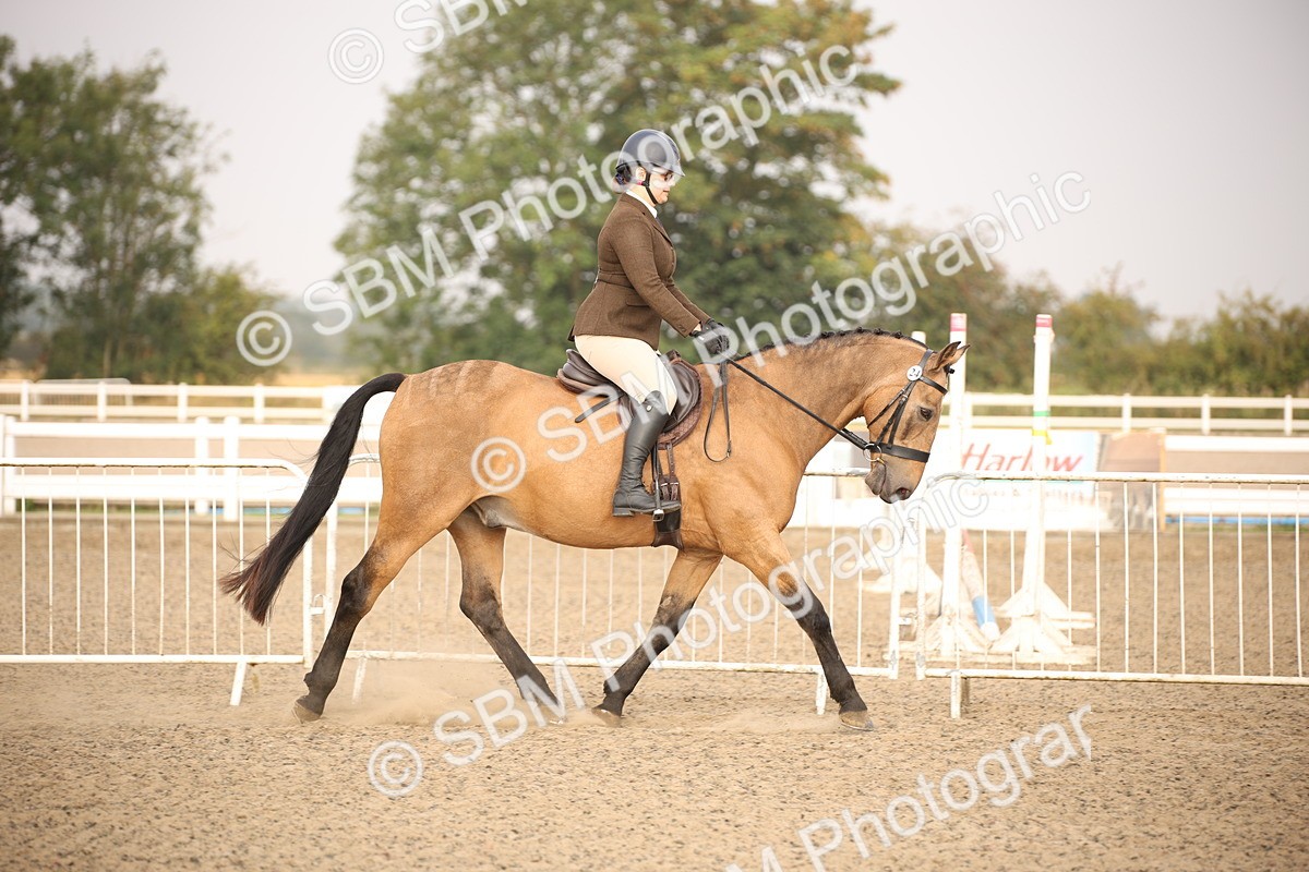 SBM_10195 - Class 402 Riding Club Horse