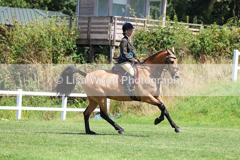 3E7A9148 - Working Hunter Championship