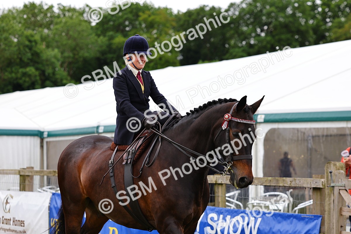 SBM_02797 - Class 9-11 Side Saddle including LIHS Rising Star Ladies Show Horse