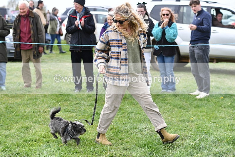 WJ5_9421 - Class 1 Best Cross Breed / Heniz 57