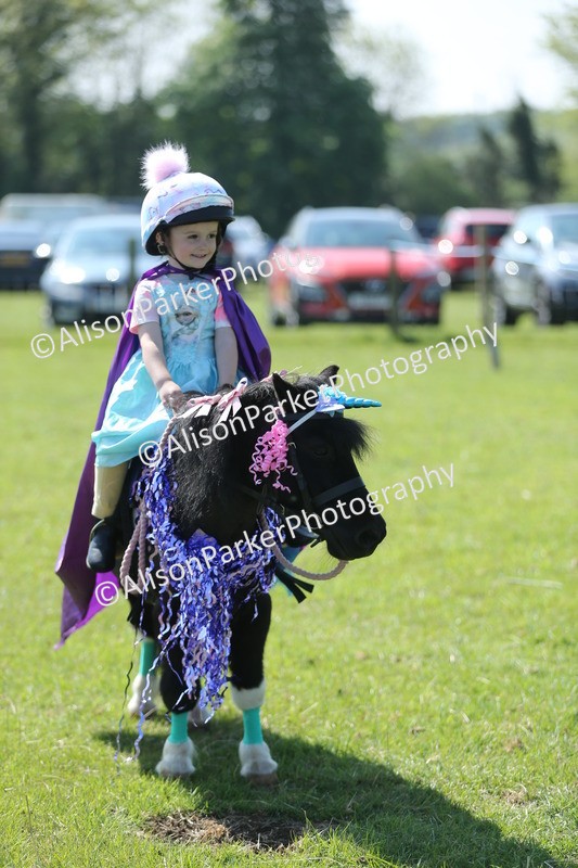 20250427-1811 - Class 5 - Fancy Dress