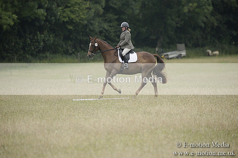 B230619-0789 - Bourne Valley Riding Club Summer Show 23/06/19