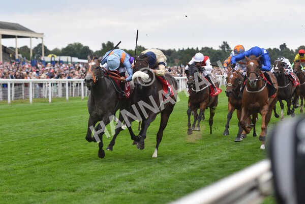 yr18082022r2-48 - Race 2 2.25pm Goffs UK Harry Beeby Premier Yearling Stakes