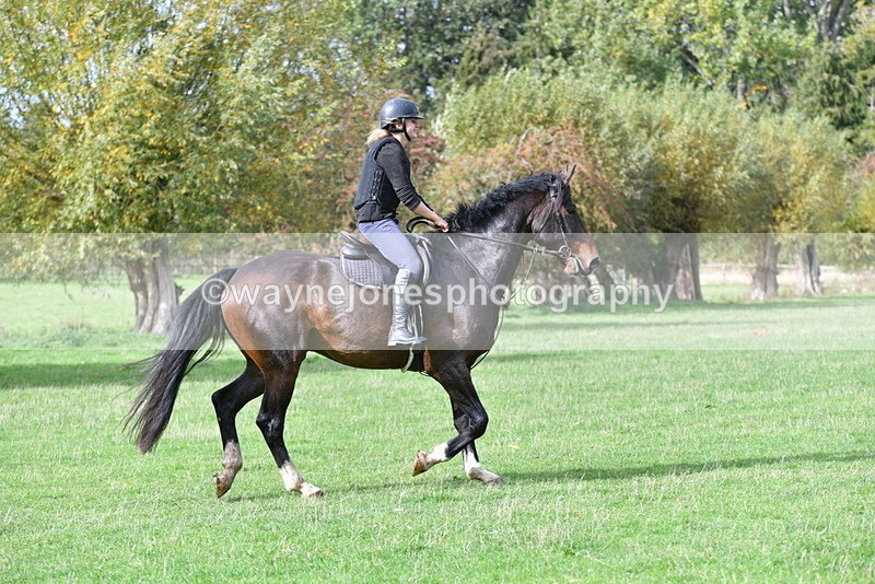 WJ5_0080 - Time 13:25 to 13:58