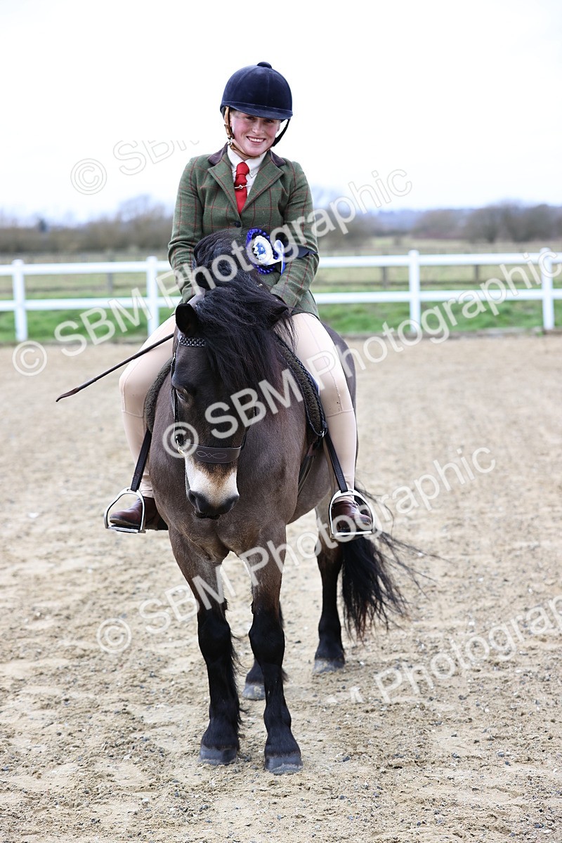 SBM_006863 - Class 29 - 30 - M&M Pure Novice Small-Large Breeds