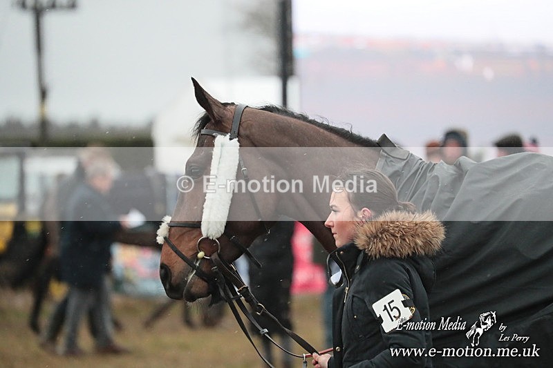 PtP 260125 991 - Cocklebarrow Point-to-Point racing with the Heythrop Hunt 26/01/25