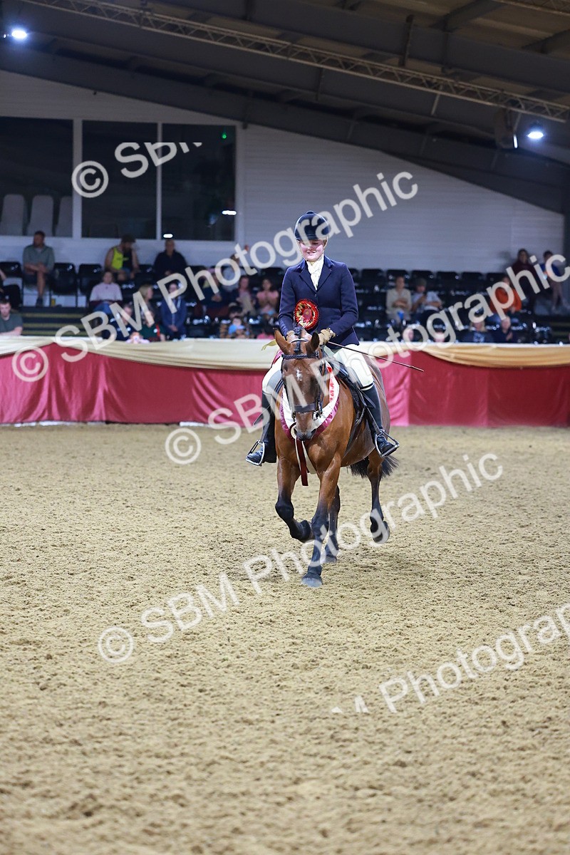 SBM_15006 - Class M - Equitation Champ
