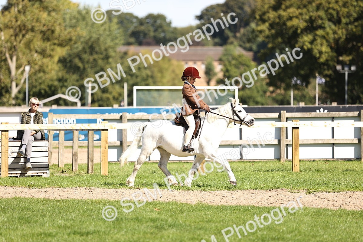 SBM_19347 - S3 - TSR Ridden Pony Showing